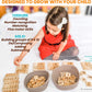 Fun Addition & Subtraction Flash Cards for Toddler Learning & Kindergarten Montessori Play
